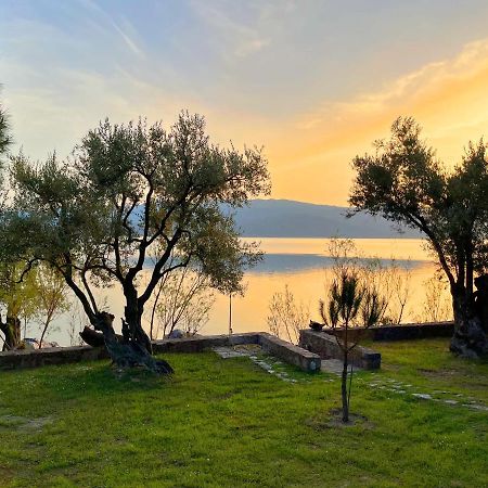 Seafront Traditional Stone House In Sunset Olive Grove - B Alyfanta Exterior foto