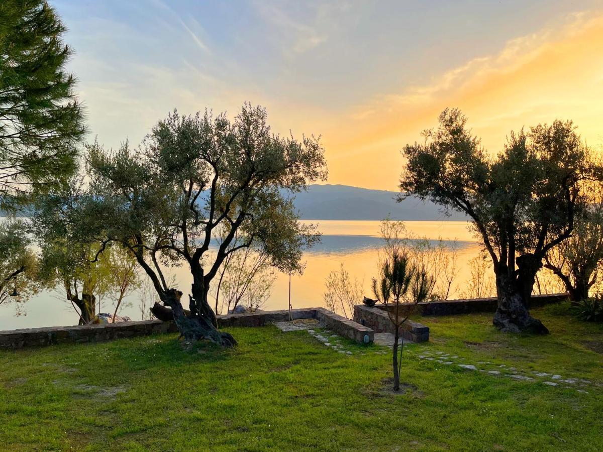 Seafront Traditional Stone House In Sunset Olive Grove - B Alyfanta Exterior foto