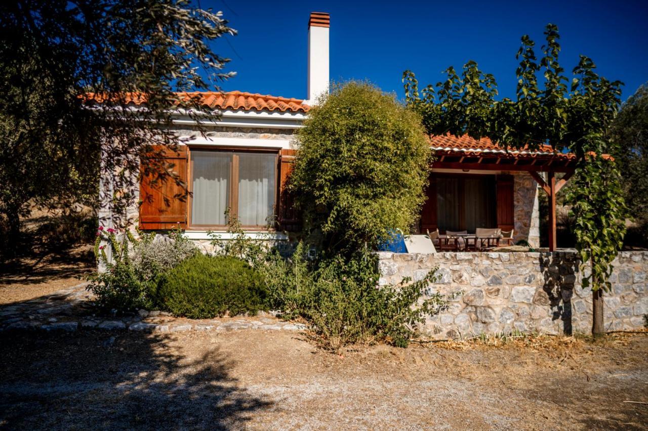 Seafront Traditional Stone House In Sunset Olive Grove - B Alyfanta Exterior foto