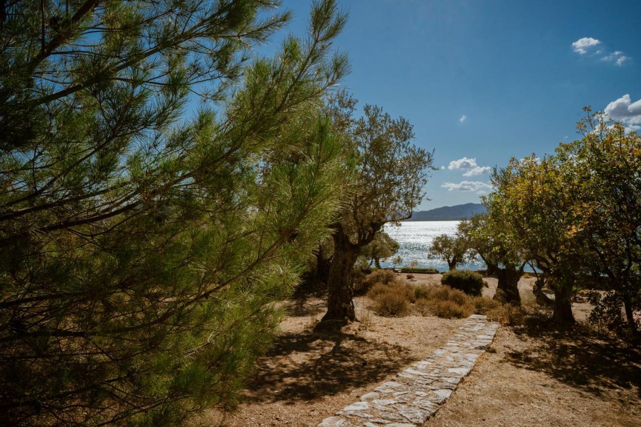 Seafront Traditional Stone House In Sunset Olive Grove - B Alyfanta Exterior foto