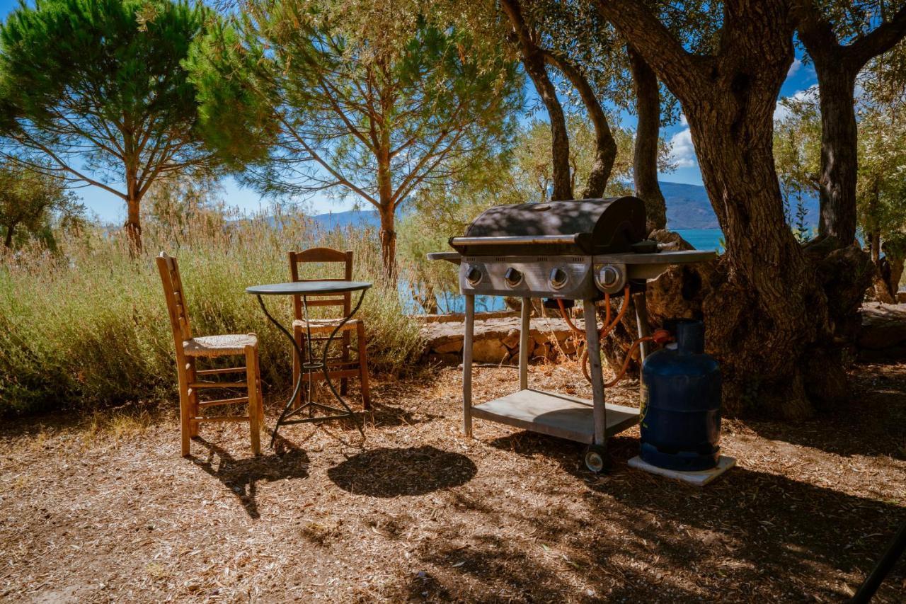 Seafront Traditional Stone House In Sunset Olive Grove - B Alyfanta Exterior foto